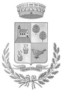 COPIA Comune di Figino Serenza Provincia di Como Verbale di Deliberazione del Consiglio Comunale N. 33 del 30/09/2009 OGGETTO: PIANO DELLE ALIENAZIONI E DELLE DISMISSIONI IMMOBILIARI PER L ANNO 2009.