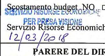 '~<-/,,/ (Do~jo'A29"easi Bassi) Budget assegnato: utilizzato: presente atto Residuo:... Responsabile del ~ (P.