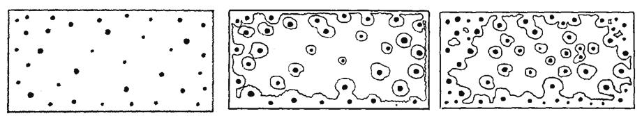 Fig. 2 - Schema del meccanismo di solidiþ cazione nelle ghise sferoidali.