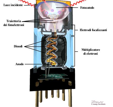 Guide di luce Fotoni Fogli riflettenti Fotomoltiplicatore I fotoni arrivano al Fotocatodo del fotomoltiplicatore, che trasforma i fotoni in elettroni (detti fotoelettroni) per l effetto fotoelettrico.