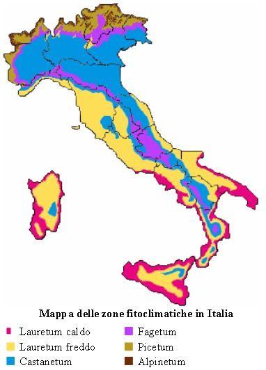 CLIMA E VEGETAZIONE zone climaticoforestali secondo la classificazione di Pavari - De