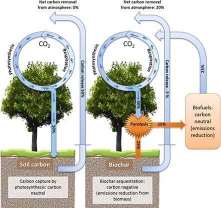 Ciò significa che nella pianura nello strato più superficiale del suolo sono stoccati circa 223Mt di CO 2.