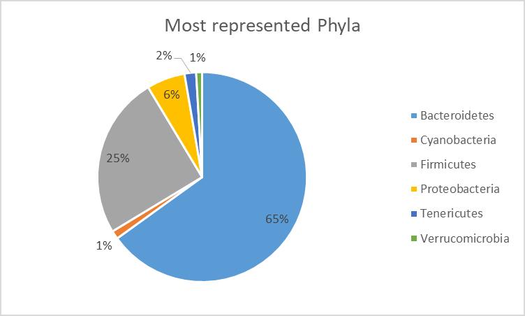 NGS data analysis I phylum più rappresentativi