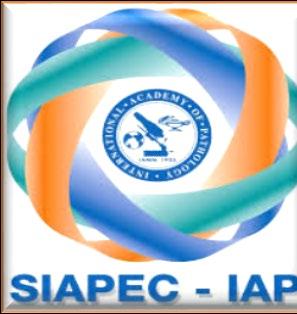 Cosa hanno prodotto AIOM/SIAPEC-IAP: HER2 Ca Gastrico Indicazione: Pti con CA gastrico o della giunzione gastroesofagea in