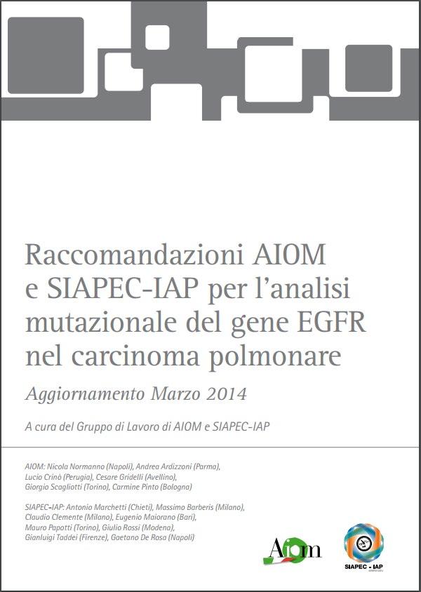 Cosa hanno prodotto AIOM/SIAPEC-IAP: EGFR/NSCLC Indicazione: Pti con NSCLC avanzato (stadio IIIB- IV) non- squamoso Anche in squamoso: - soggetti non fumatori, deboli fumatori (< 15 pacchetti/anno o