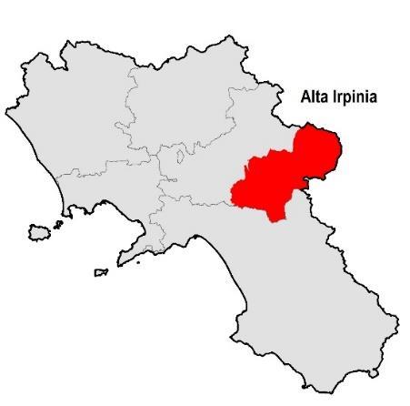 Regione Campania PARTE PRIMA Analisi e Descrizione 12 Alta Irpinia Revisione documento: Novembre 2018 Dati di riepilogo area interna Totale Comuni 25 Popolazione residente 61.829 Superfice (Kmq) 1.