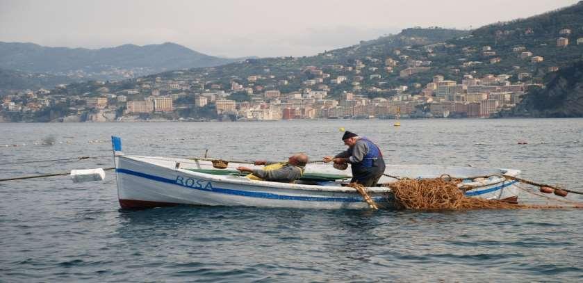 I FLAG quale modello di sviluppo sostenibile delle Comunità locali