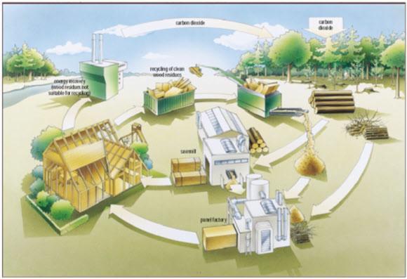 Un into EU esempio and Member States dalla law, prioritise Strategia forestale UE 2013: recycling of wood over burning and ban mobilisation e approccio a cascata wood going into landfill recycling