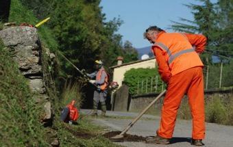 giardinaggio, Pet therapy, Foreste come medium per attività di