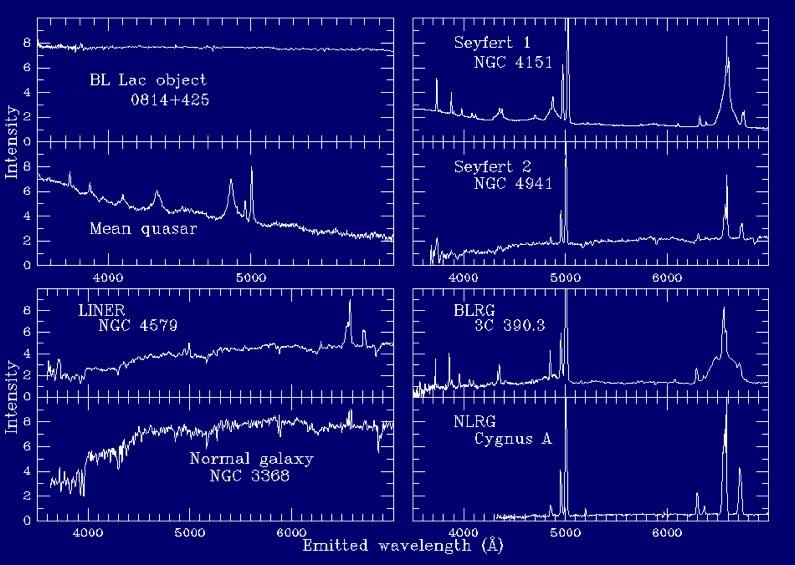 Spettri di AGN Blazar (radio-loud) Quasar Galassie di