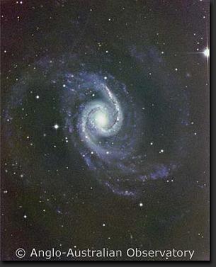 Le Galassie di Seyfert Scoperte da Karl Seyfert nel 1943 come galassie a spirali peculiari caratterizzate da forti righe di