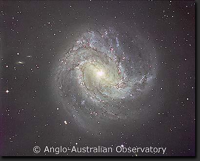 Galassia di Seyfert Seyfert nucleus (NGC7469) Bulge of 'normal' galaxy 8 10-14 NGC 1566 Spirale Normale Flux (erg s -1 cm -2 Å