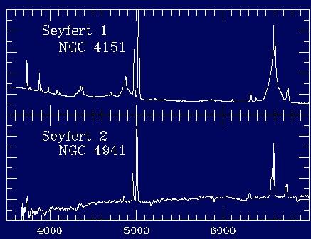 Galassie di Seyfert: AGN a bassa L Esistono due tipi di galassie di Seyfert in base alla presenza o meno di righe larghe nello spettro: Seyfert 1 (Sy1) righe larghe (broad) permesse (Hα, Hβ, HeII etc.