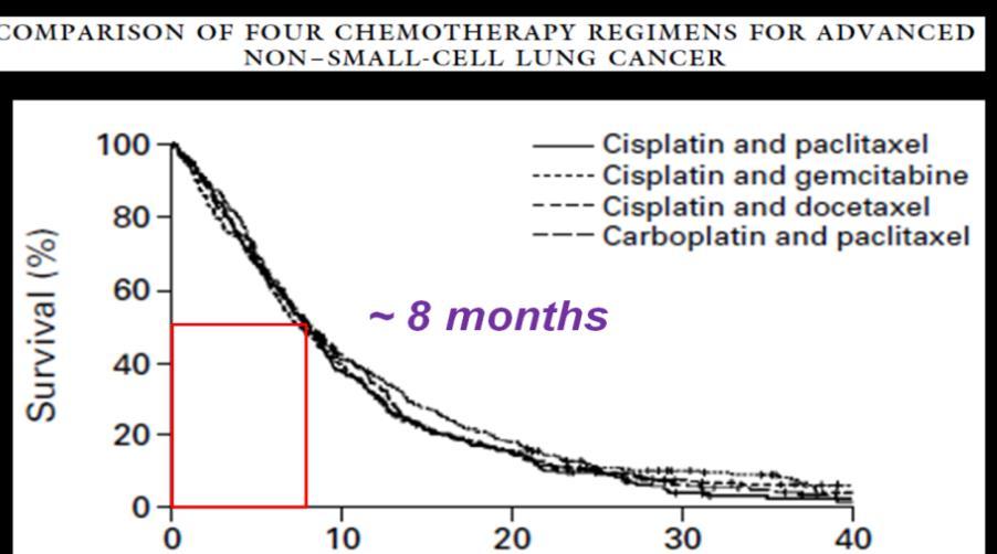 EGFR TKIs before discovery