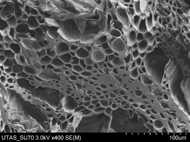 Non tutti i biochar sono uguali! Biomassa; Processo di produzione; Temperatura; Tempo di residenza.