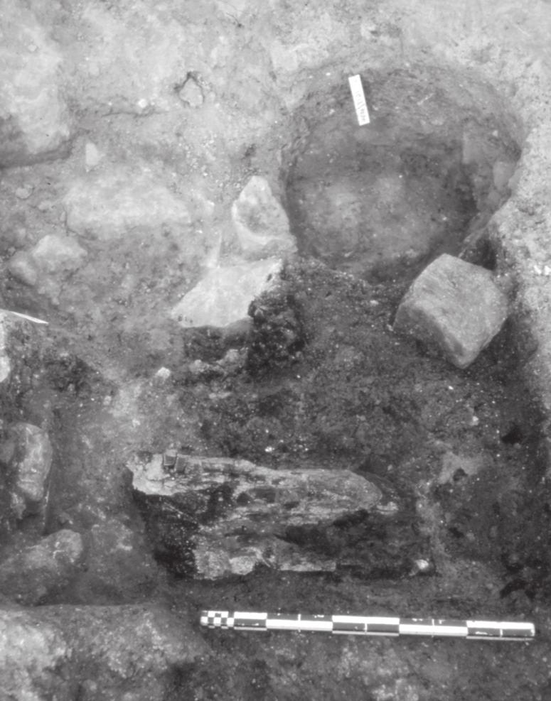 Fig. 33 Buca di palo con tracce del legno carbonizzato.