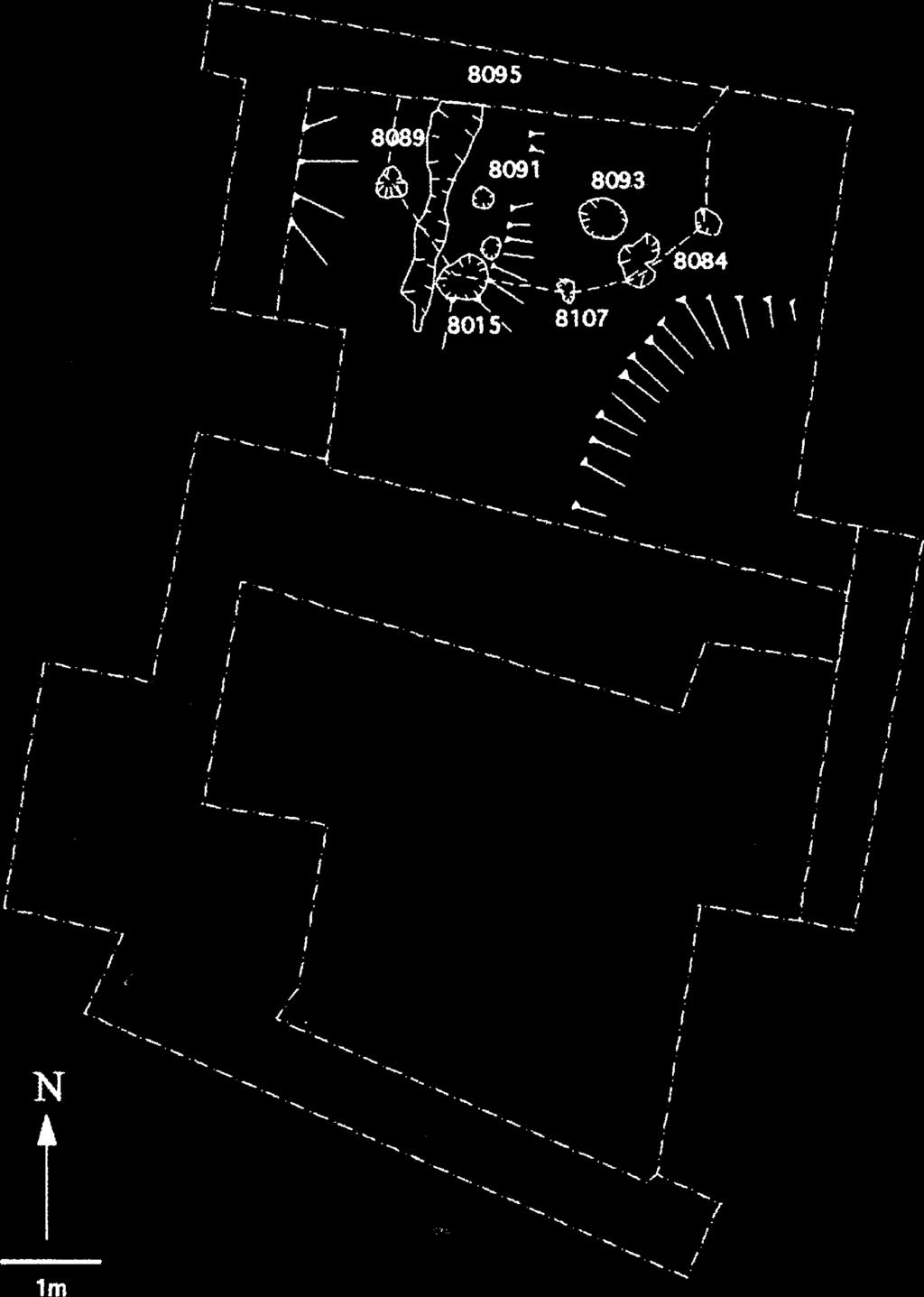 Fig. 12 Area 8000, periodo I. Fig. 11 Area 5000: buche di palo tagliate nella roccia, pertinenti ad una capanna lignea.