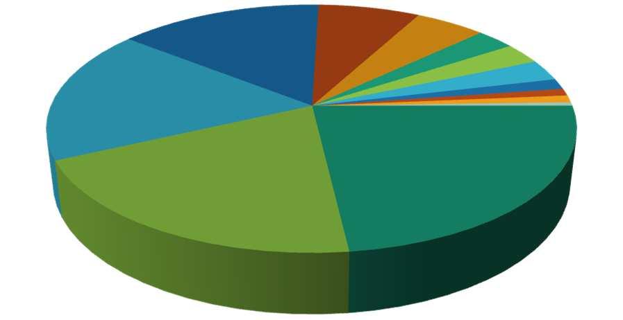 Sezione Farmaco M 10,1% Distribuzione ATC I livello - AUSL Bologna J 19,0% C 21,5% B 5,1% N 32,9% G 1,3% H 3,8% A R 2,5% 1,3% S 1,3% V