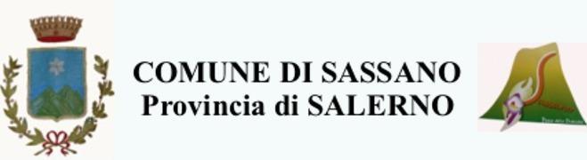 web www.comune.sassano.sa.it e mail info@comune.sassano.sa.it Via Croce - 84038 0975.78809/78849 0975/518946 Copia verbale deliberazione di Giunta Comunale N. 10 del Reg.