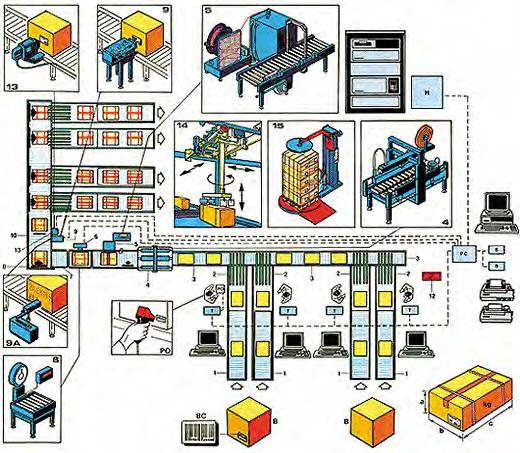 Linea di confezionamento completa AUTOMAZIONE L esempio illustra una linea completa di confezionamento in scatole a gestione centralizzata composta da: 1 - Rulliere folli 2 - Trasferitori ortogonali