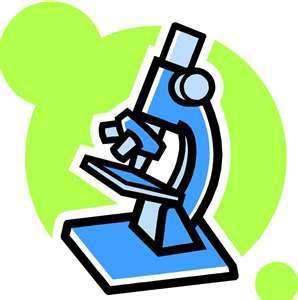 Addizionale al microscopio Aliquota Scaglioni Fascia esente Quale gettito Quanto pesa