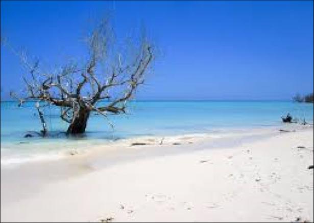 spiaggia di Cayo Jutias a base di freschissime aragoste cotte al