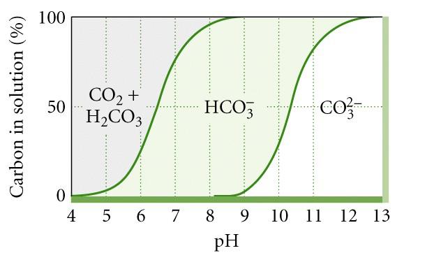 Carbonio inorganico disciolto (DIC) Bicarbonato