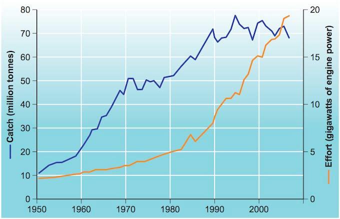 Pesca e acquacoltura