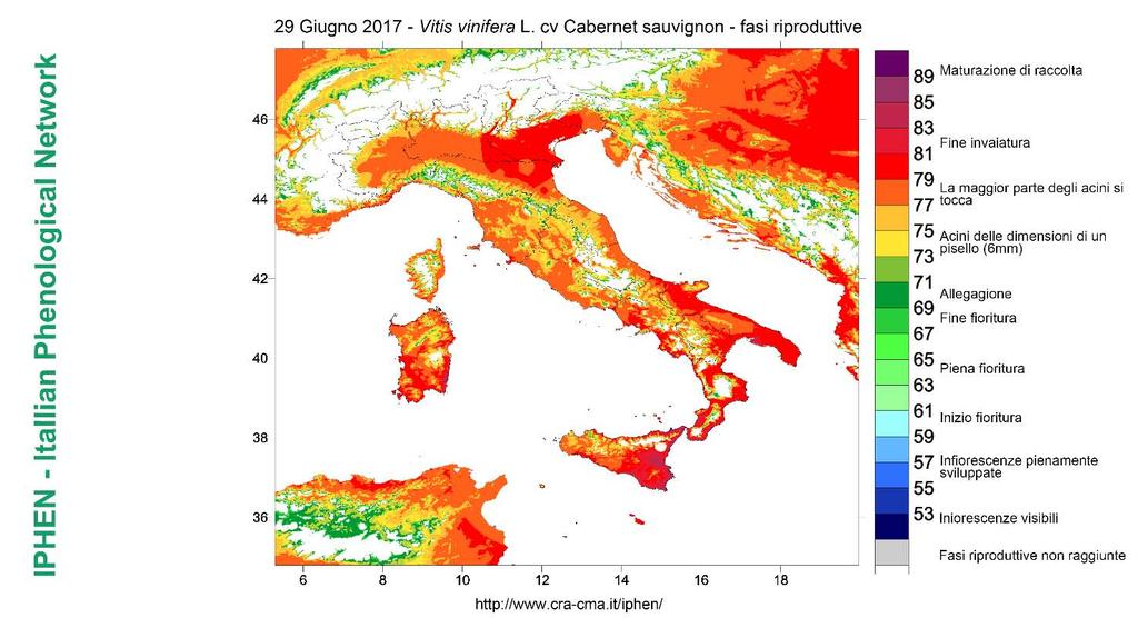 FENOLOGIA - PHENOLOGICAL OVERVIEW Vite - Grapevine Per entrambe le varietà le uniche segnalazioni di avvenuto inizio invaiatura riguardano la Sicilia (fig 8 e 9).