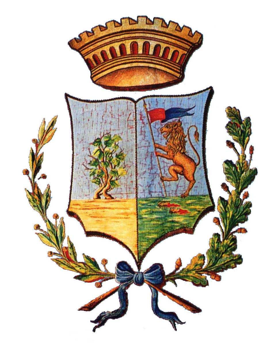 COMUNE DI BAGHERIA Provincia di Palermo REGOLAMENTO