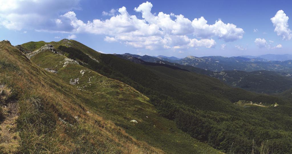 I. BENE PAESAGGISTICO DESCRIZIONE 2 di 7 OVVEDIMENTO: RUBRICA [E TITOLO CONCISO] Dichiarazione di Notevole interesse pubblico della zona del costituendo «Parco naturale regionale delle alte valli del