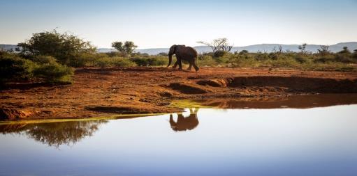 GIORNO 9 ADDO NATIONAL PARK Intera giornata di safari a bordo del nostro camioncino, con possibilità di vedere i Big 5, fortuna permettendo. Non mancheranno giraffe, elefanti e zebre.