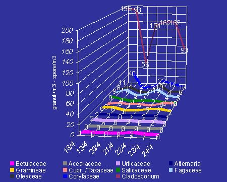 Bollettino n 15 settimana dal 18 al 24 aprile 2005 Le rilevazioni aerobiologiche ricalcano grosso mdo quelle della settimana precedente, con bassi livelli dei pollini allergenici di Betulacee