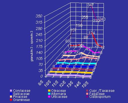 Le concentrazioni di spore della muffa Cladosporium hanno raggiunto un picco di 408/mc; il ruolo di tale muffa, ed in particolare un presunto "valore soglia" per lo scatenamento delle manifestazioni,