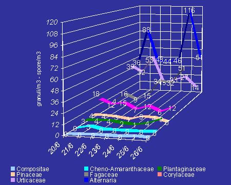 Bollettino n 23 settimana dal 13 al 19 giugno 2005 Accanto a livelli elevati di Plantaginacee (lanciuola), medi di Graminacee, bassi di Urticacee (parietaria) e Composite, tra i pollini allergenici è