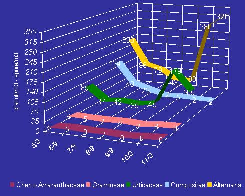 Bollettino n 33 settimana dal 29 agosto al 04 settembre 2005 Aumentano le concentrazioni di Composite, principalmente rappresentate dall'ambrosia, mentre sempre elevati si mantengono i livelli di
