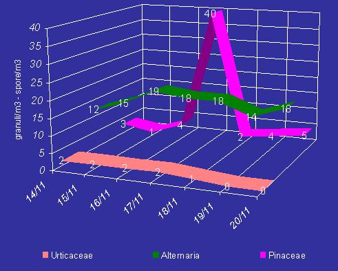 La presenza di bassi livelli di Pinacee non ha particolare significato in campo allergologico.