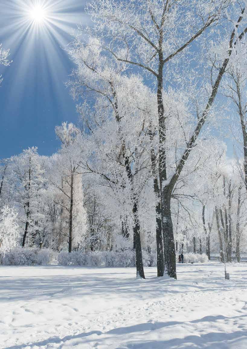 SPAZZANEVE A SCOPPIO L inverno senza problemi La