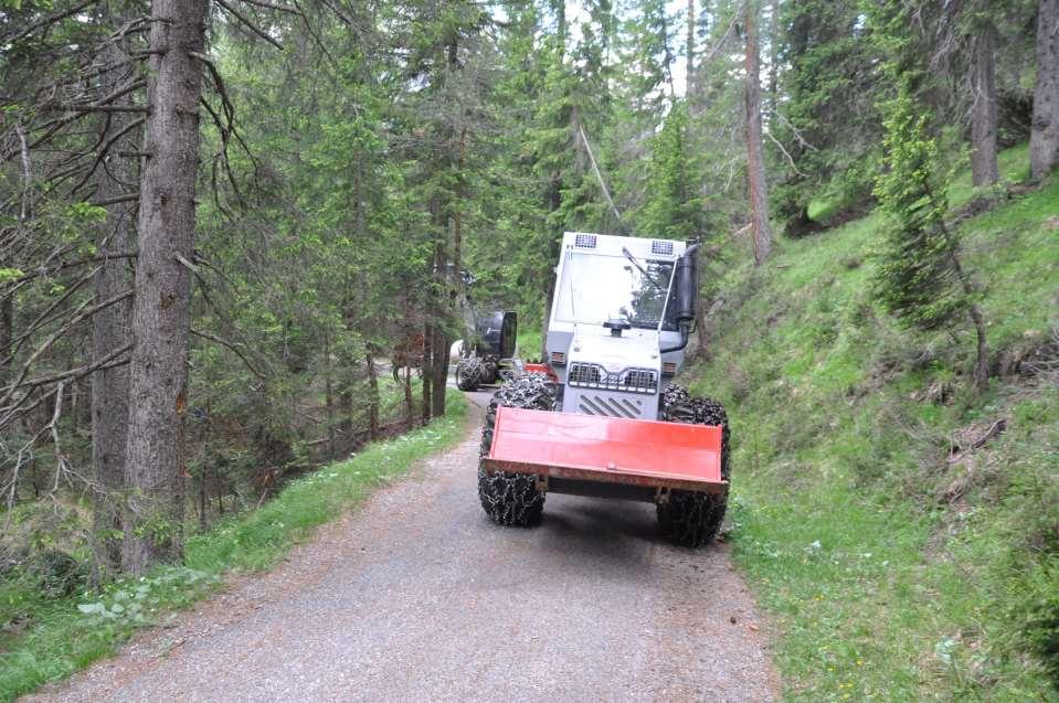 Gestione forestale - il piano