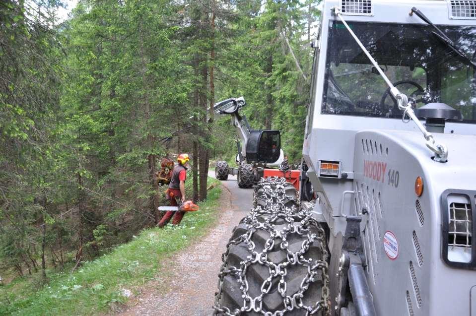 Gestione forestale - il piano