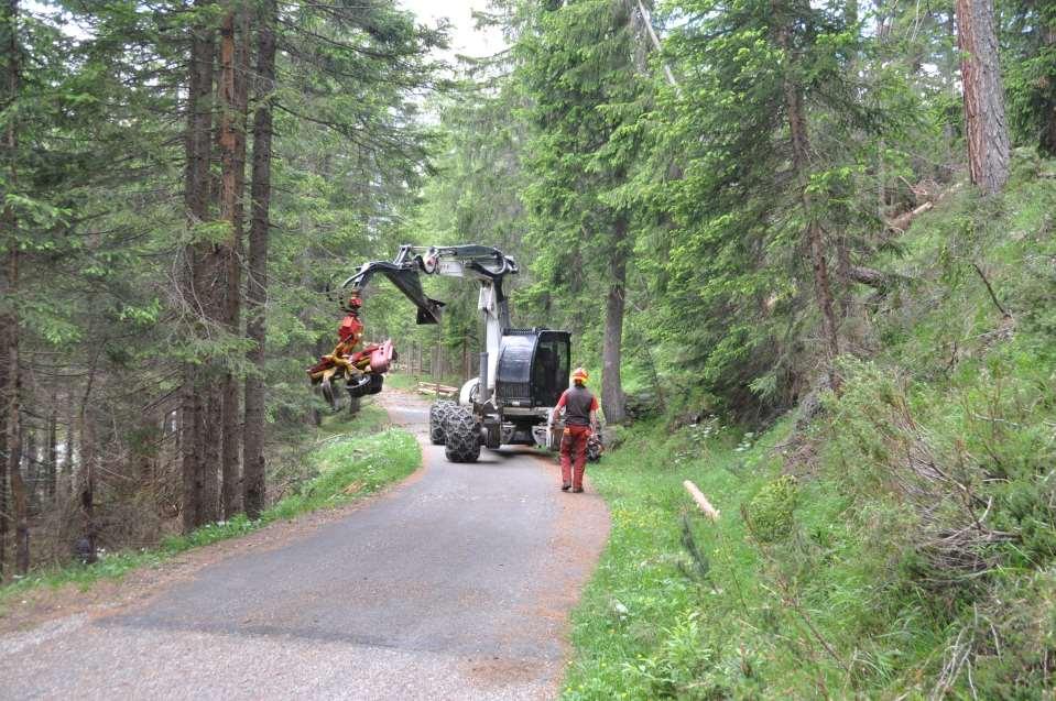 Gestione forestale - il piano