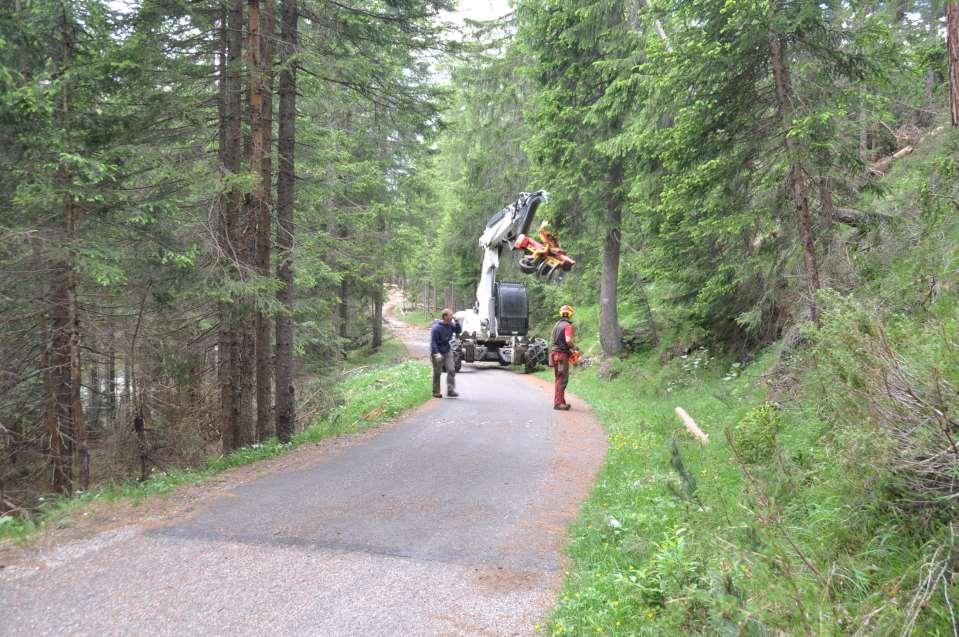 Gestione forestale - il piano