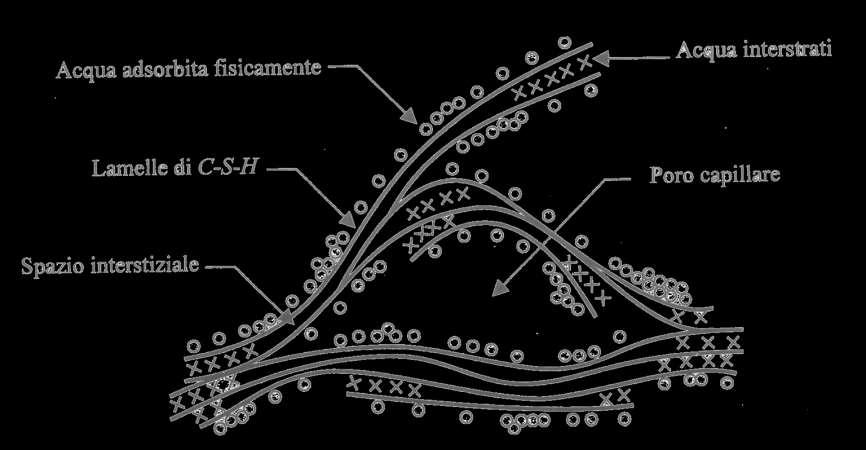 L Idratazione Tra le lamelle rimangono degli spazi dello stesso ordine di