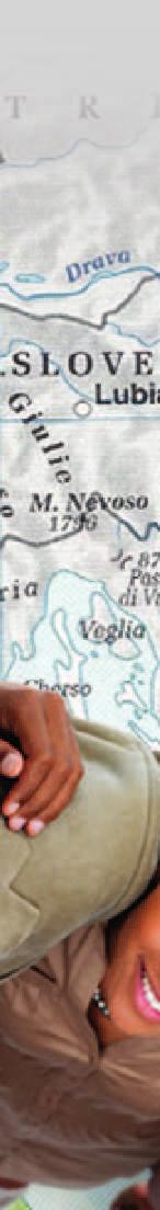 11-30174 Mestre-Venezia cell.