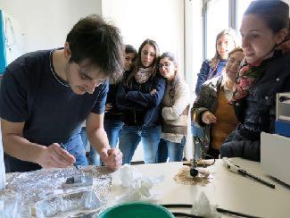 Il docente opera una scelta su uno dei laboratori proposti dagli enti IMC/CNR e gli studenti