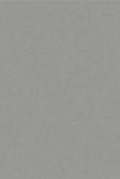 Grey skai F427-5016 Indigo Image colours may