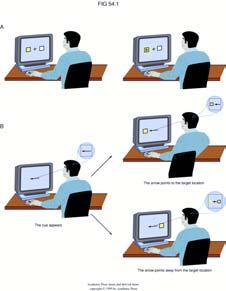 Aggiustamenti adattativi della percezione visiva Il controllo attenzionale della percezione Dal Comportamentismo al Cognitivismo: Una nuova prospettiva nello studio dei processi mentali 1 2 Il primo