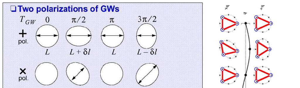 Fantascienza : Laser Interferometer Space antenna LISA (II) Goal: sense gravitational induced tidal