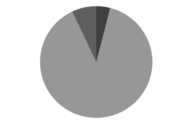 e delle somme eventualmente percepite (anticipazioni o riscatto parziale) si tiene conto pro-rata. Rendimento medio annuo composto Composizione del portafoglio al 31.12.