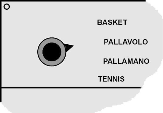 CASA Utilizzazione come per la sezione OSPITI GESTIONE PALLAVOLO All